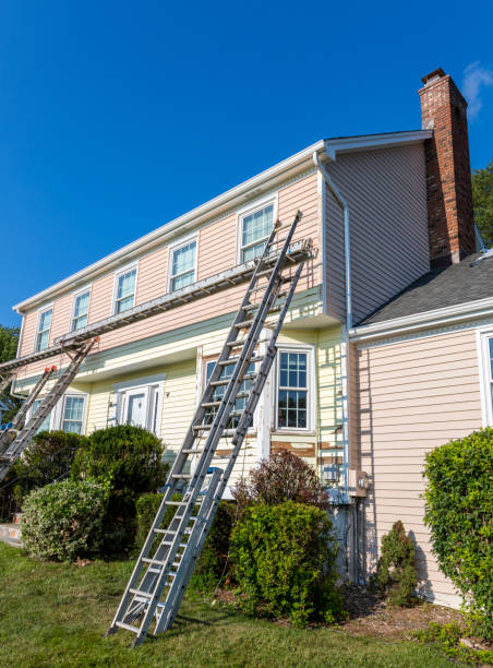 Best Carpet Removal and Disposal  in The Homesteads, TX