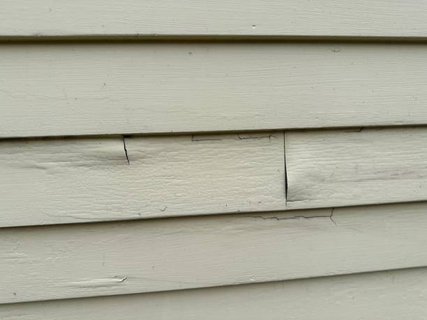Best Same-Day Junk Removal Services  in The Homesteads, TX